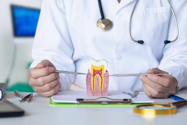 Best Cosmetic Emergency Dentistry in Black Forest, CO